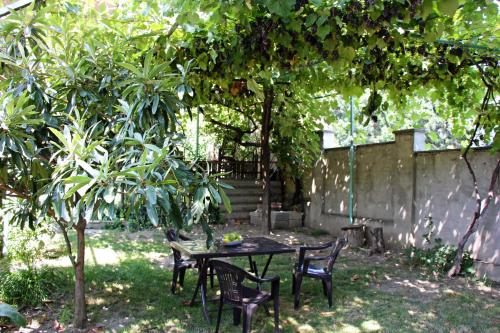 Hotel Liva