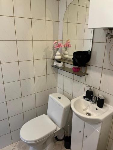 Apartament city center 118 — Piekary Slaskie — photo 3