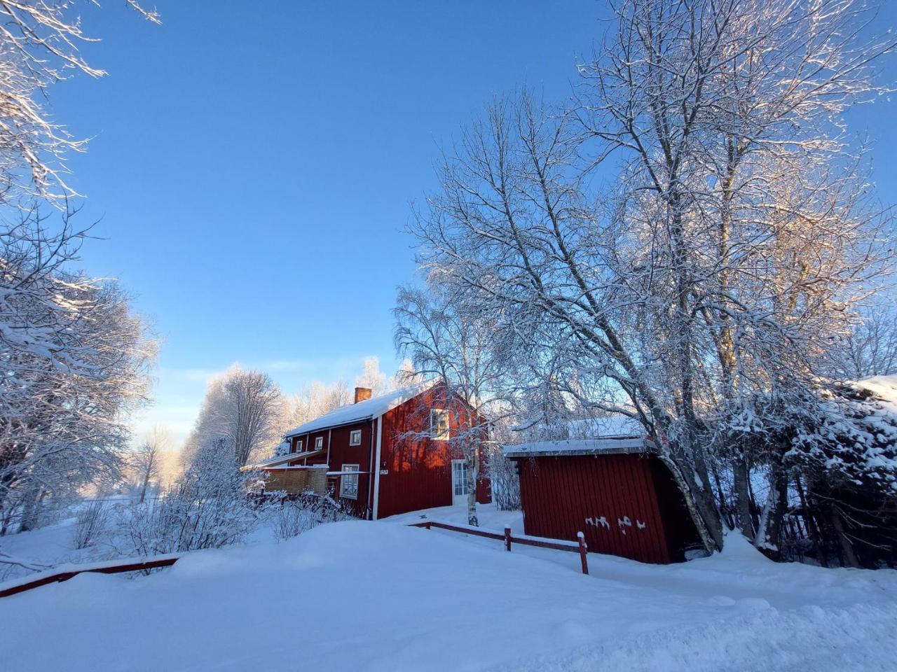 Per Sims — Ljusdal