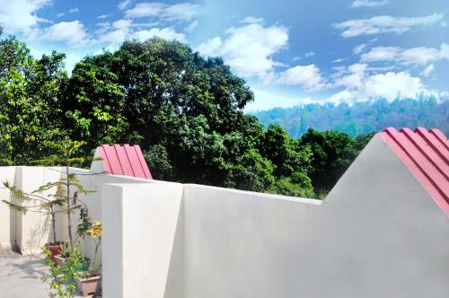 Choudhary Mansion — Ramnagar — photo 4