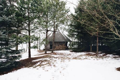 Pakaso sodyba — Ignalina — photo 4