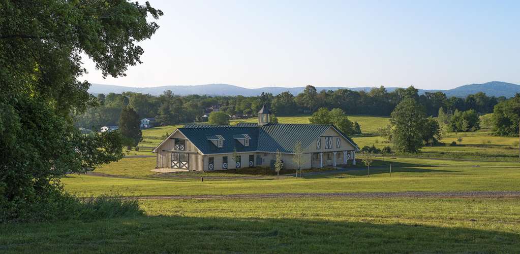Salamander Resort And Spa - photo 26