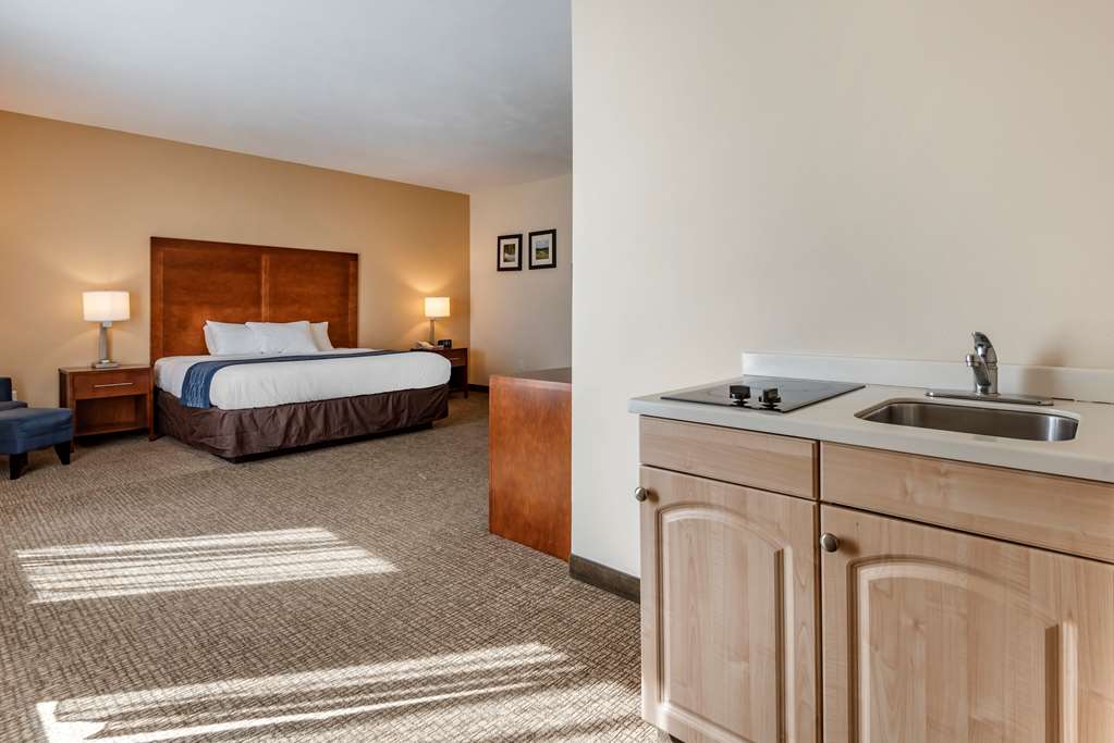 Comfort Inn Apalachin Binghamton W Route 17 - photo 19