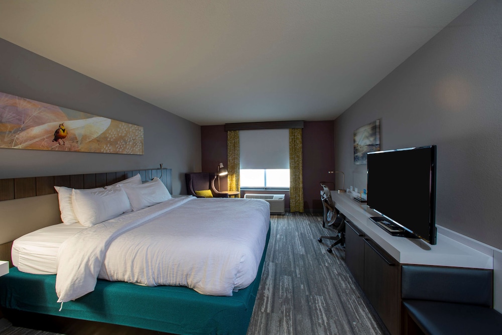 Hilton Garden Inn Rapid City - photo 34