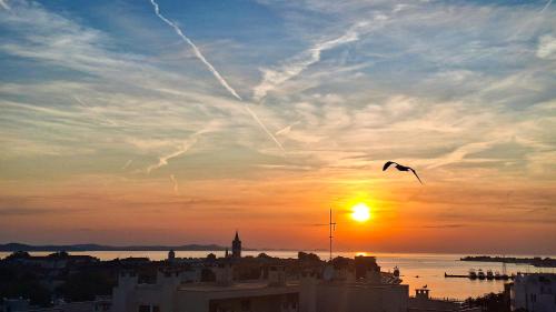 365 Sunsets Apartment by Belmont Realty — 4-Star Luxury Hotel in Zadar, Croatia