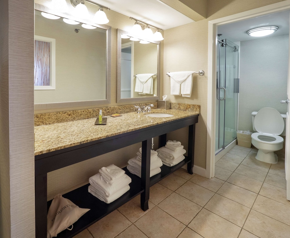 DoubleTree by Hilton Hotel Buffalo Amherst - photo 24