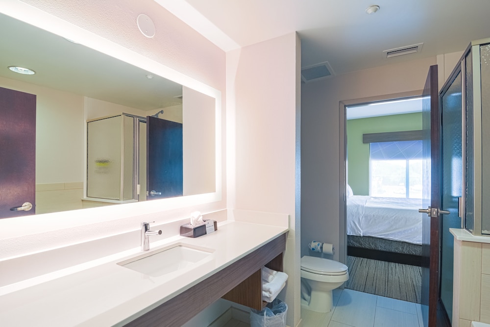 Holiday Inn Express & Suites Tampa USF Busch Gardens by IHG - photo 10