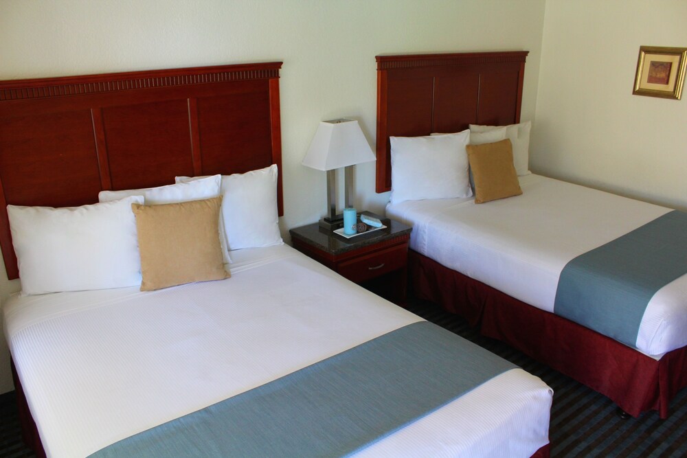 Pacific Inn and Suites - photo 13