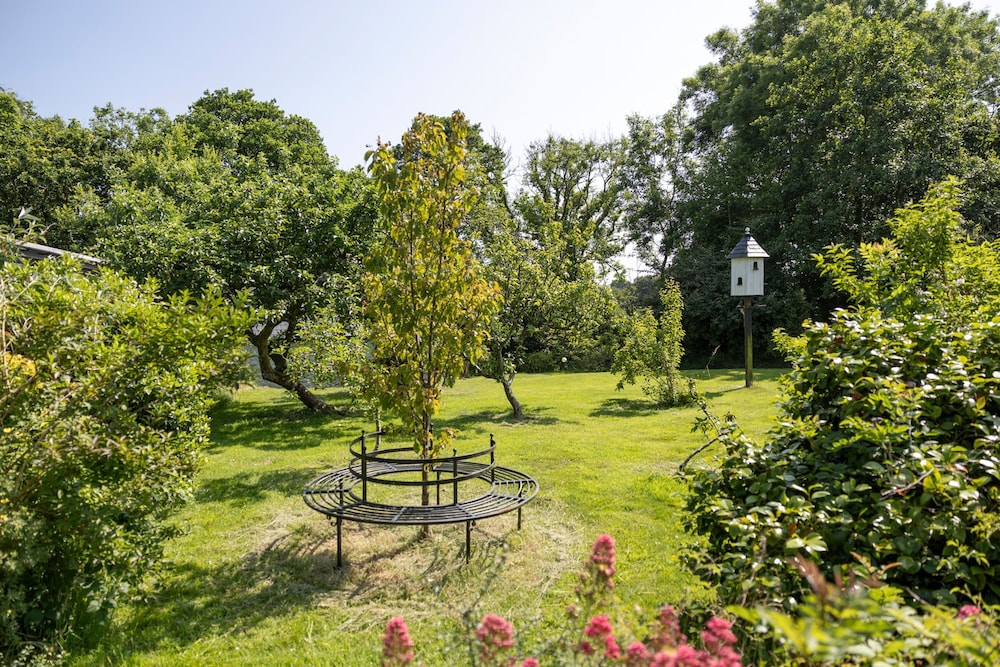 Hedgerow at Gorslwyd Sound Retreat in Cardigan, United Kingdom