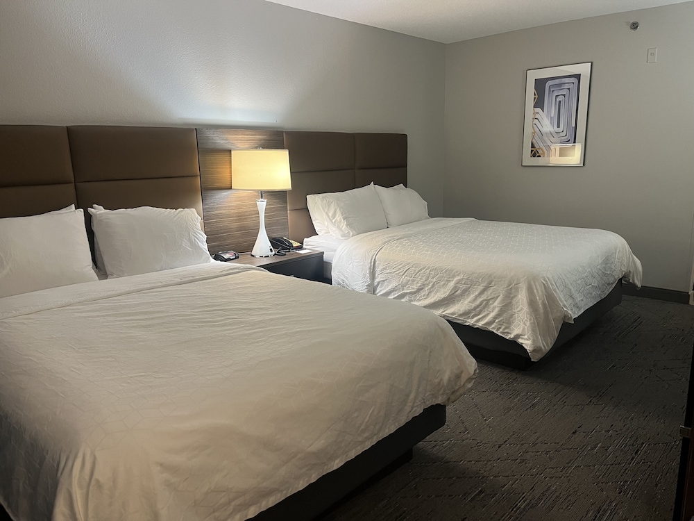 Holiday Inn Express Hotel & Suites St. Paul Woodbury by IHG - photo 20