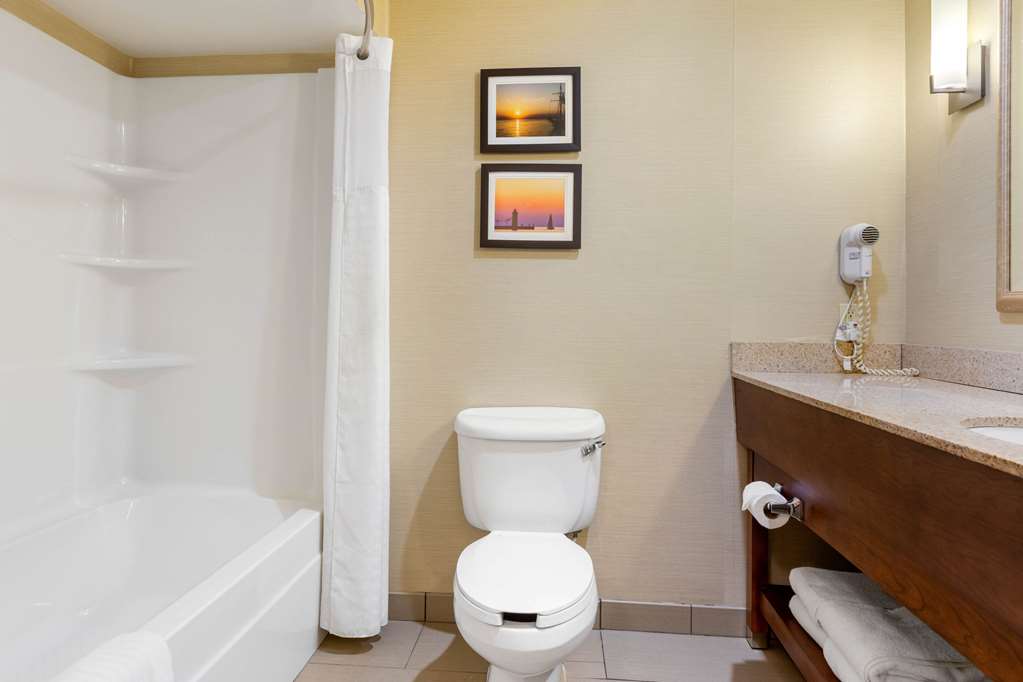 Comfort Suites South Haven near I 96 - photo 7