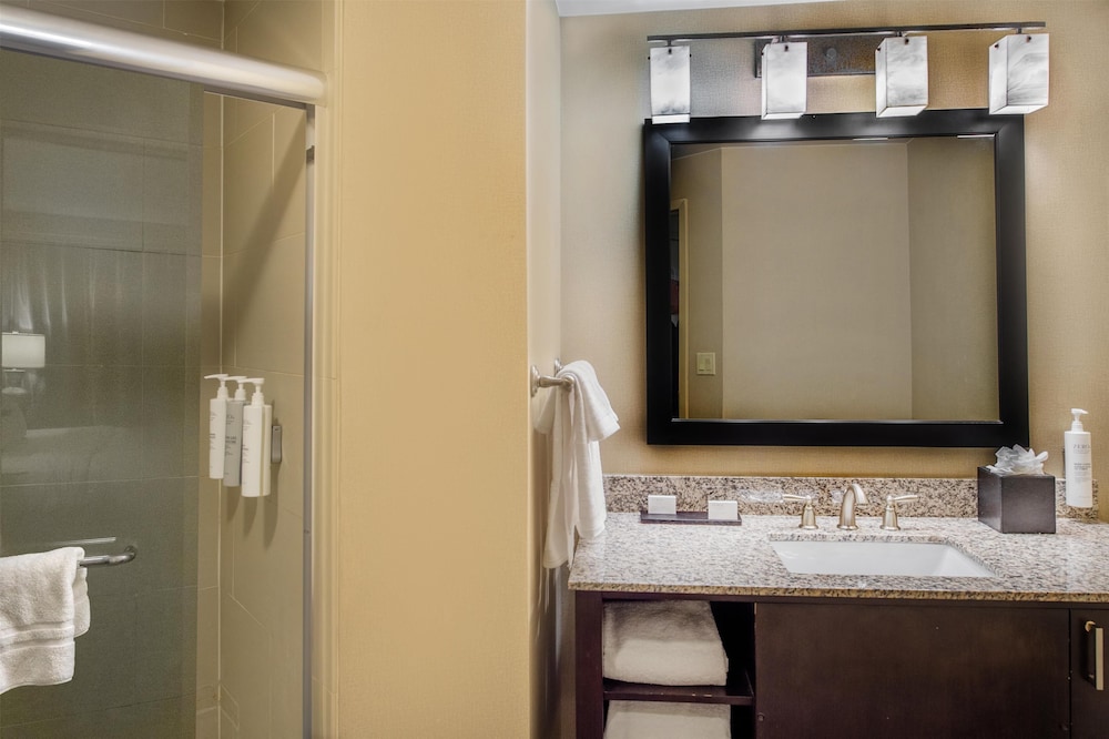 Hampton Inn by Hilton St. Louis Airport - photo 60