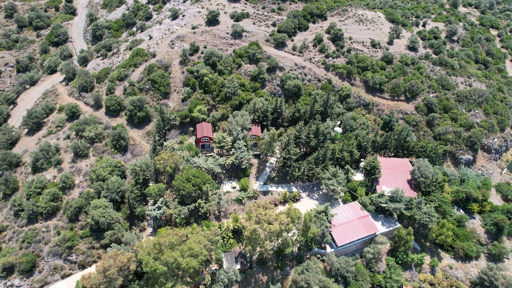 Sole Foca in Foca, Turkey