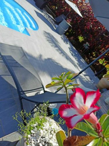 O’Parad’îles in Unknown City, Guadeloupe