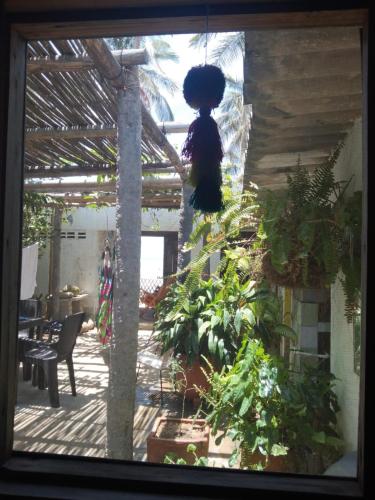 Casa de playa en Dibulla — Dibulla — photo 3