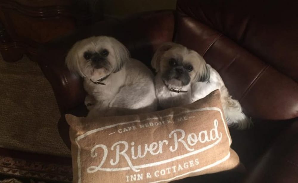 2 River Road Inn & Cottages - photo 59