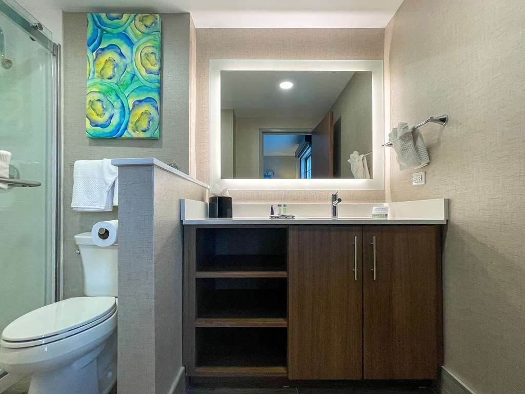 MainStay Suites Oak Brook Terrace Chicago - photo 9