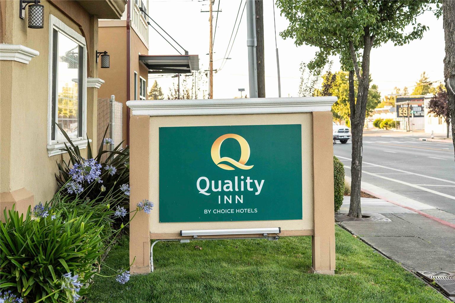 Quality Inn Ukiah - photo 9