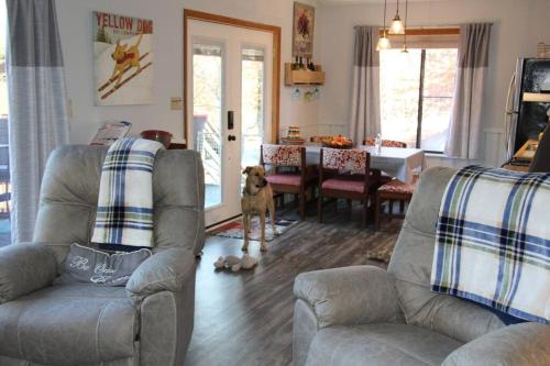 Cozy Cabin Walkable to Beech Mt Resort in Banner Elk, United States