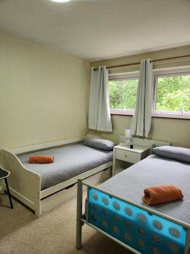 Twin Room in Crawley Gatwick West Sussex — hotel in Crawley
