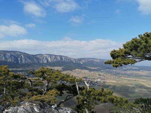 Spanferkelwirt Gasthof Mohr pet-friendly hotel Grimmenstein