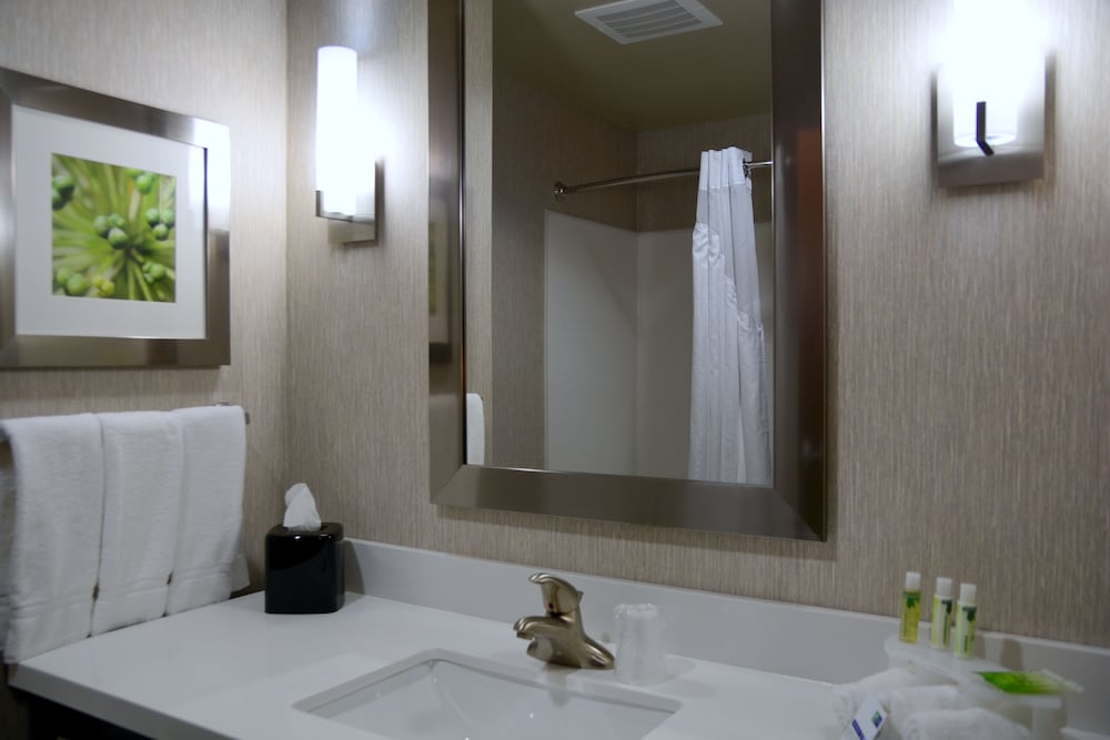 Holiday Inn Express & Suites Houston NW Tomball Area by IHG - photo 38