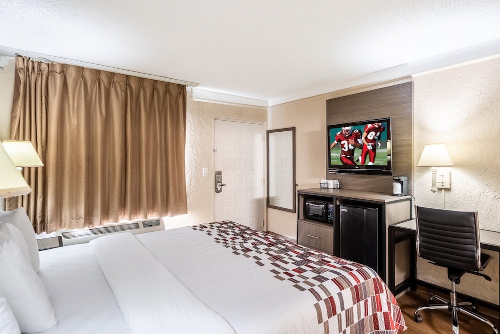 Red Roof Inn Tampa Bay St Petersburg - photo 17