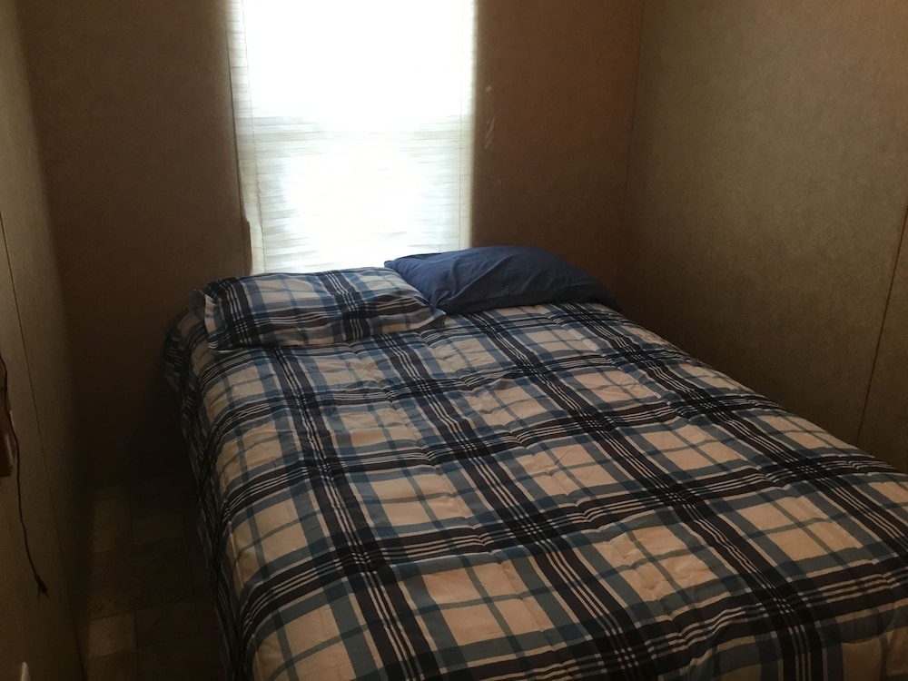 Palmetto Oasis RV Resort - photo 2