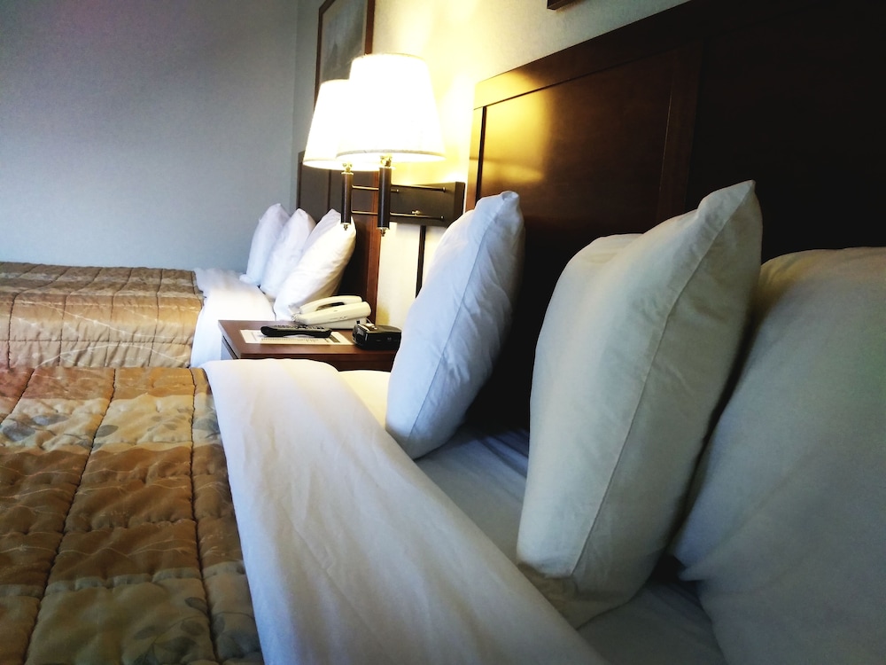 Madelia Hotel & Suites - photo 20