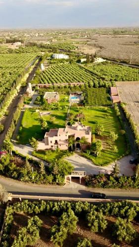 Domain The blaze - carbon neutral hotel in Marrakesh
