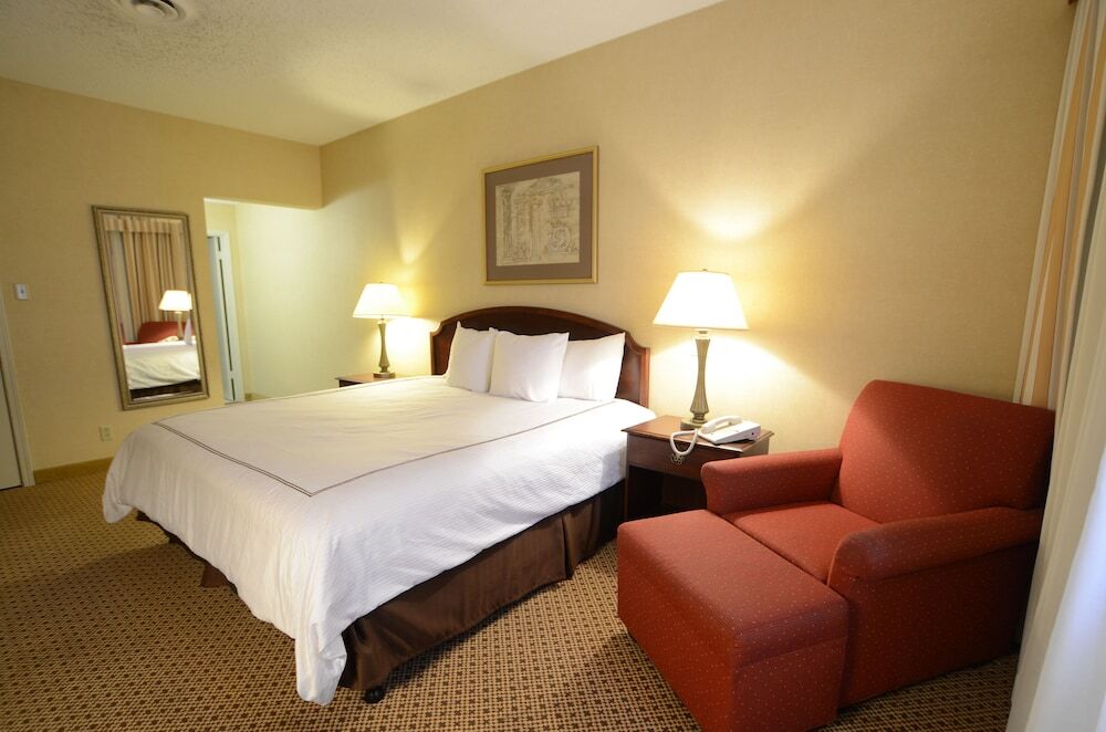 Hotel Ava - photo 13