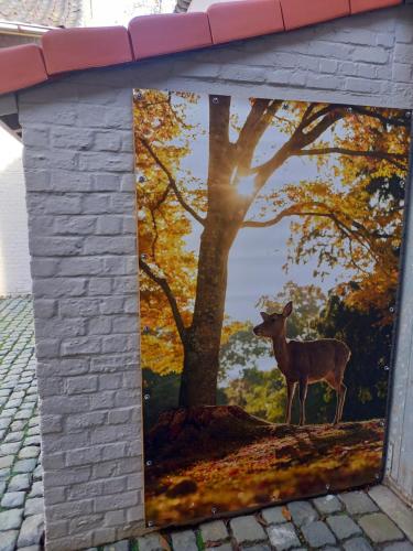 Natuurschoon Vakantiewoning Moorsel in Aalst, Belgium