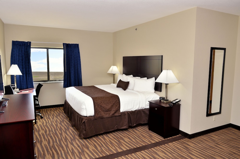 Cobblestone Inn & Suites Manning - photo 43