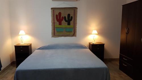Victoria Andina I — Salta — photo 5