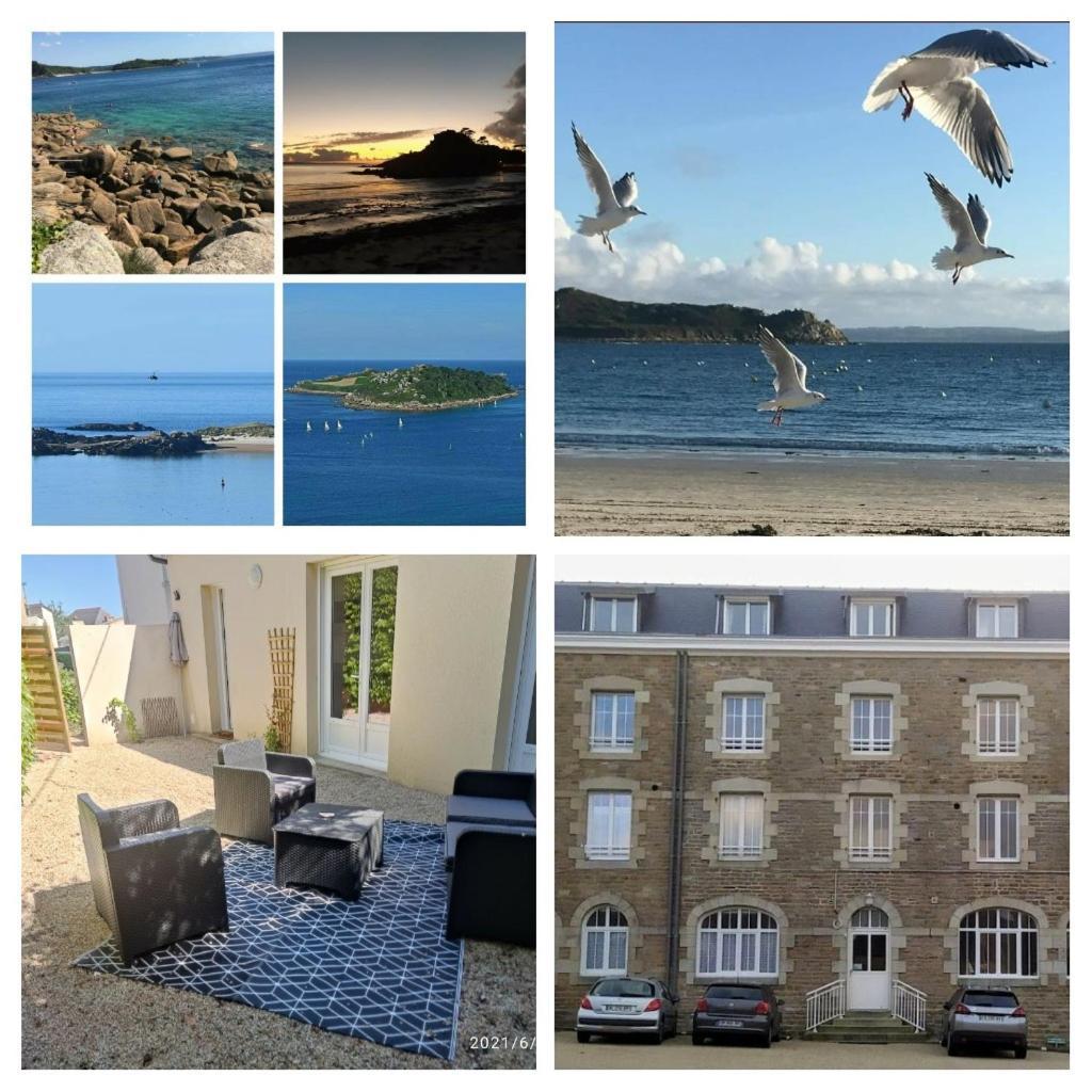 Ty Sam Bretagne Bel Appartement Maison Rdc Terrasse T3 T4 Proche Plages Et Commerces — 4-Star Luxury Hotel in Trebeurden, France
