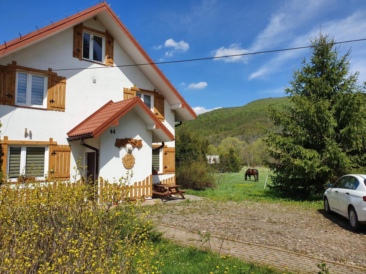 Konie2 Pokoje Goscinne in Lesko, Poland