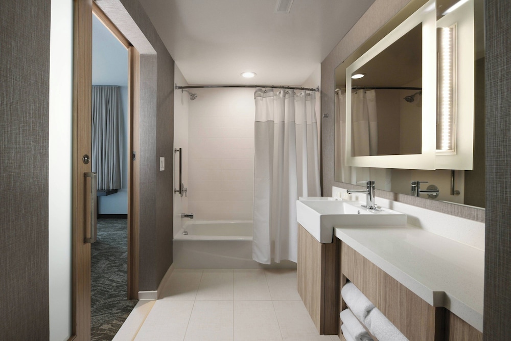 SpringHill Suites by Marriott Dallas DFW Airport South CentrePort - photo 12