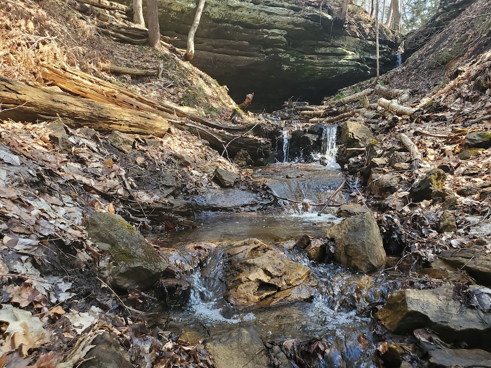 Explore Munising Alger Falls - photo 19