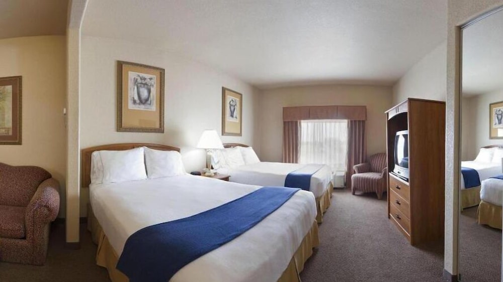 Holiday Inn Express Hotel & Suites Mission McAllen Area by IHG - photo 4