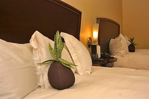 Hotel Parisi La Jolla - photo 4