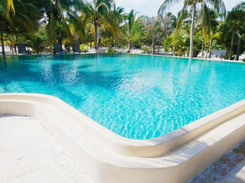 Oceanfront Villa with Big Pools — 4-Star Luxury Hotel in Celestun, Mexico