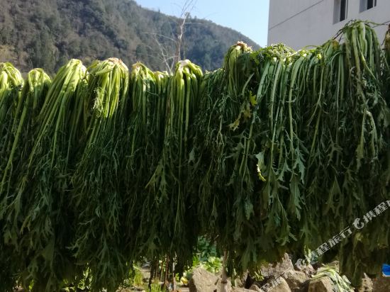 Shuxin Farm Stay Sanqingshan — hotel in Yushan