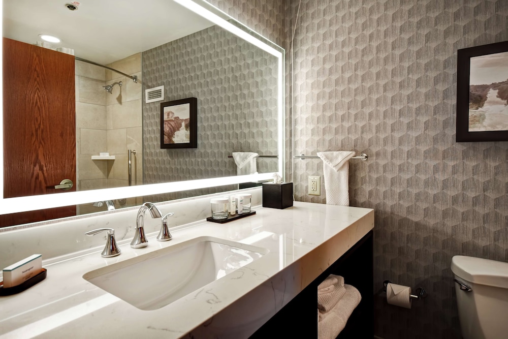 Embassy Suites Little Rock - photo 45