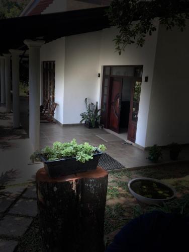 Kandyan Lounge - carbon neutral hotel in Kandy