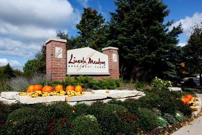 Park Meadows - featured photo