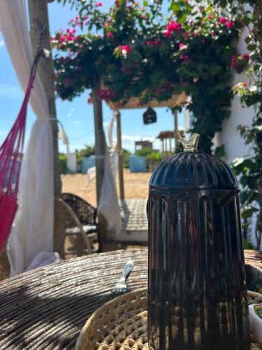 Cajumar - carbon neutral hotel in Cajueiro