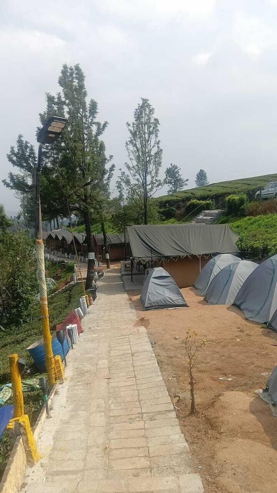 Janardan Tea Resort Campsite — Kunda — photo 2