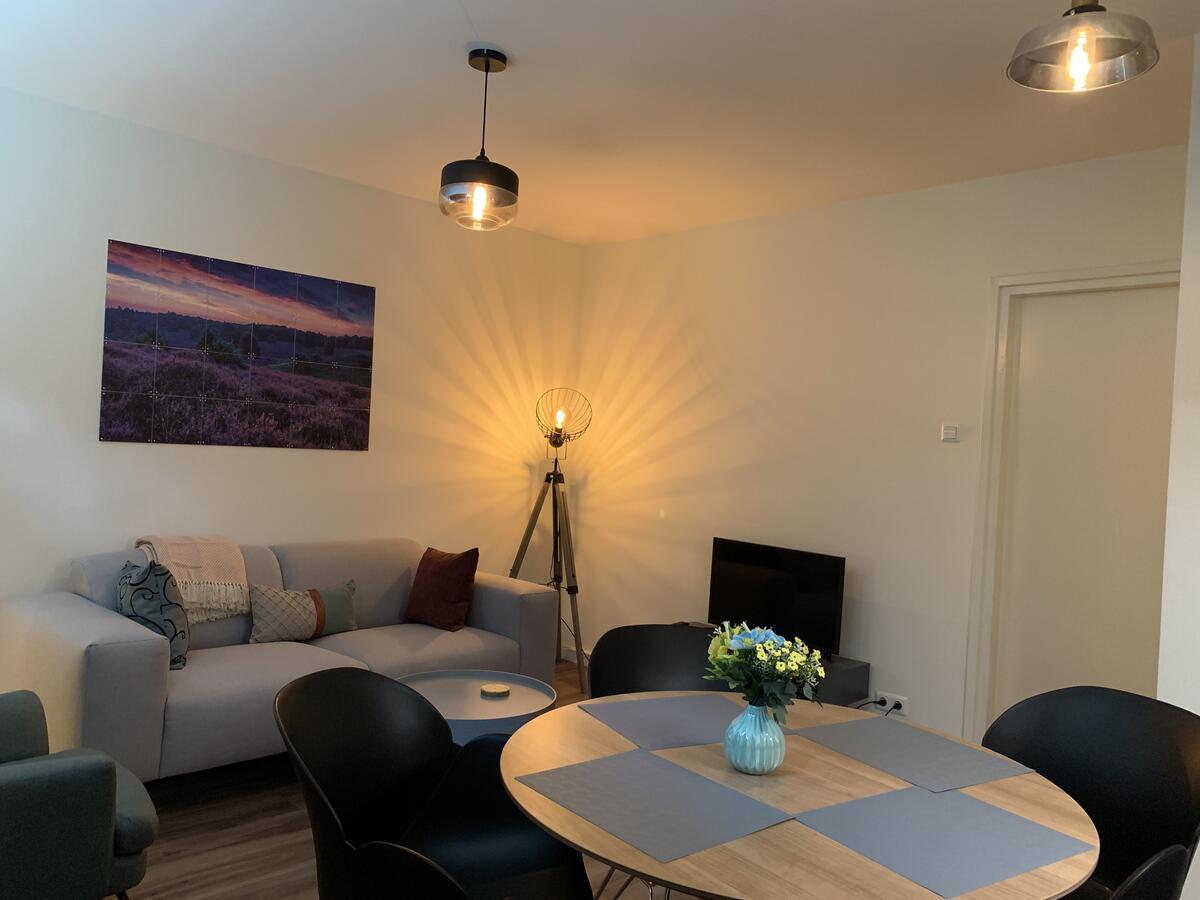 Rode Eekhoorn: Genieten Met de Dieren in Het Bos in Otterlo, Netherlands