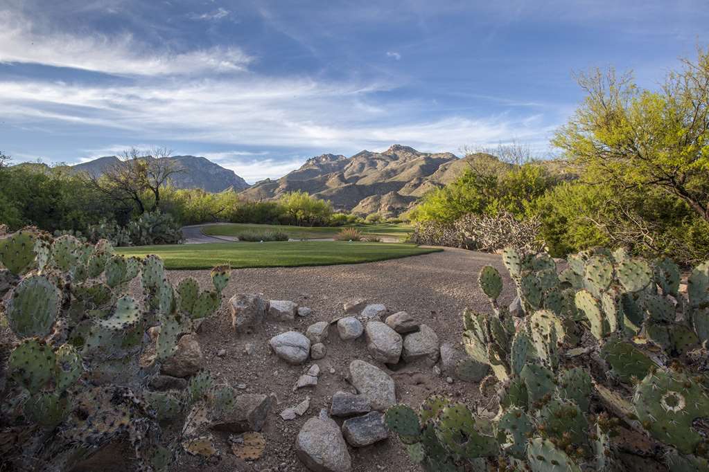 Ventana Canyon Club and Lodge - photo 24