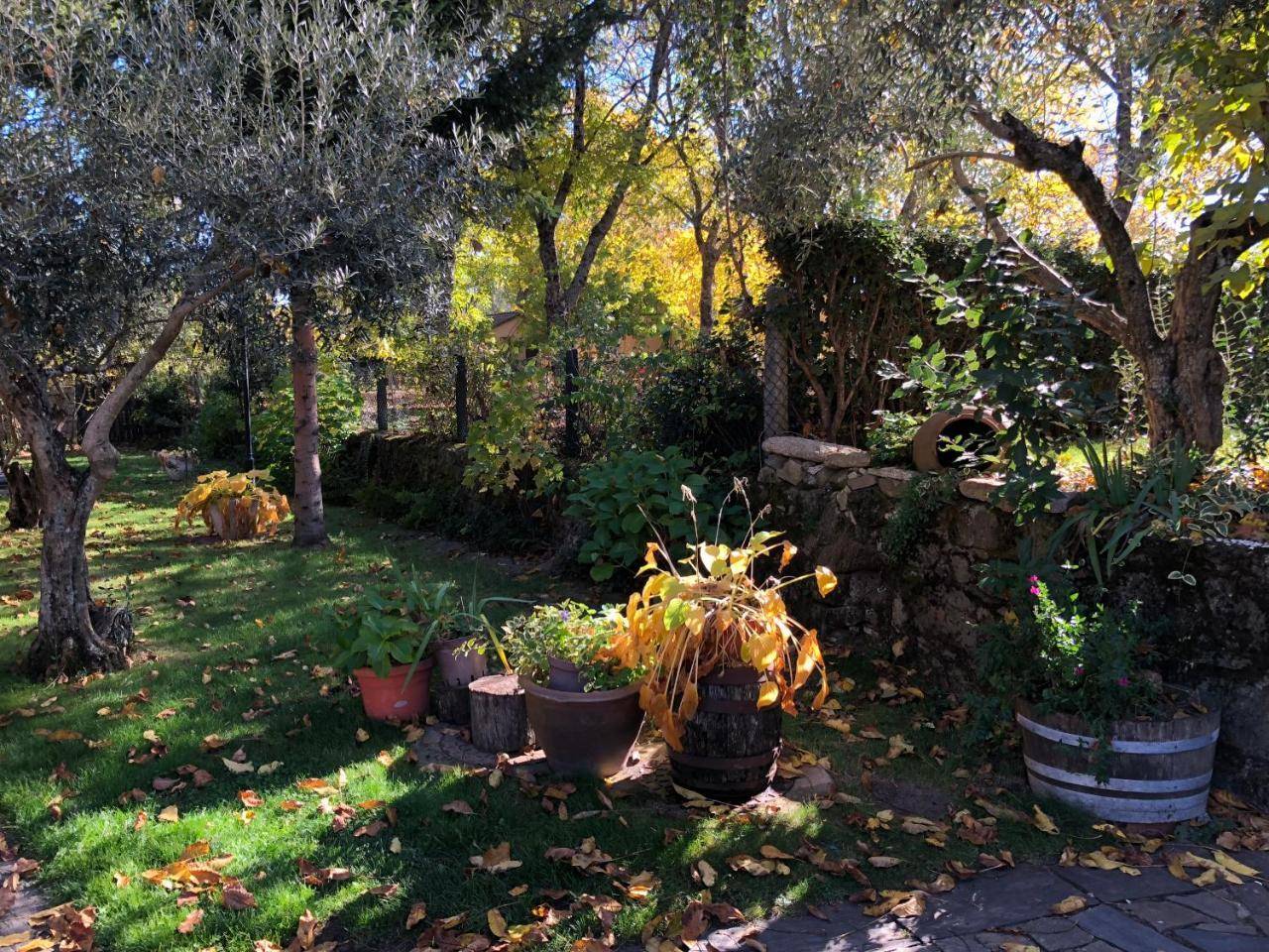 Casitas Del Huerto — La Alberca — photo 4